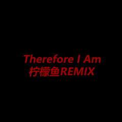 Billie Eilish-Therfore I Am (Lemonyu remix）（柠檬鱼 remix）