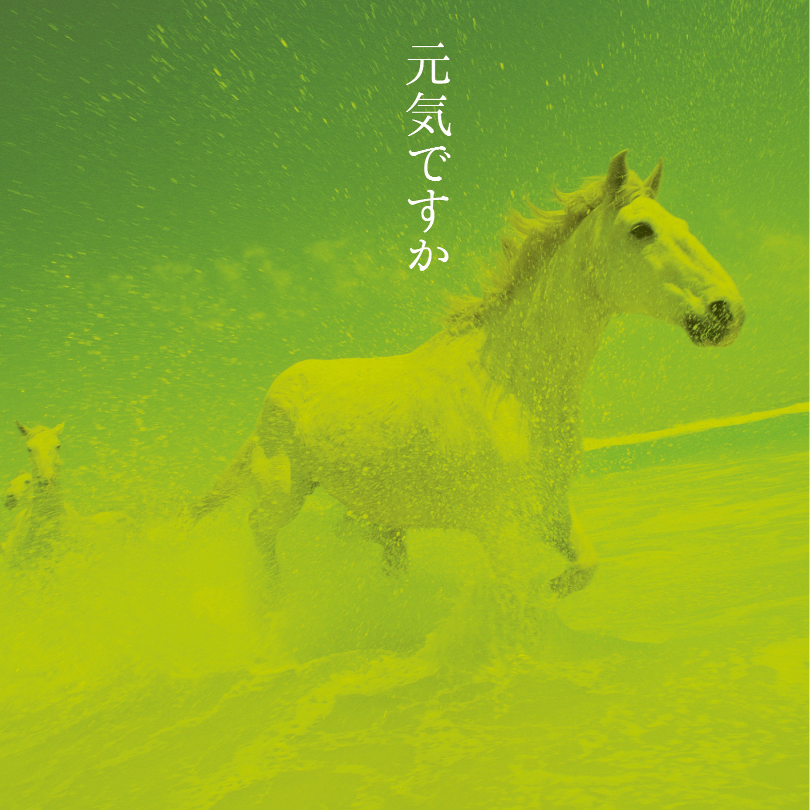 アザミ嬢のララバイ