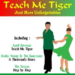 Teach Me Tiger - April Stevens (Karaoke Version) 带和声伴奏 （升1半音）