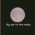 fly me to the moon