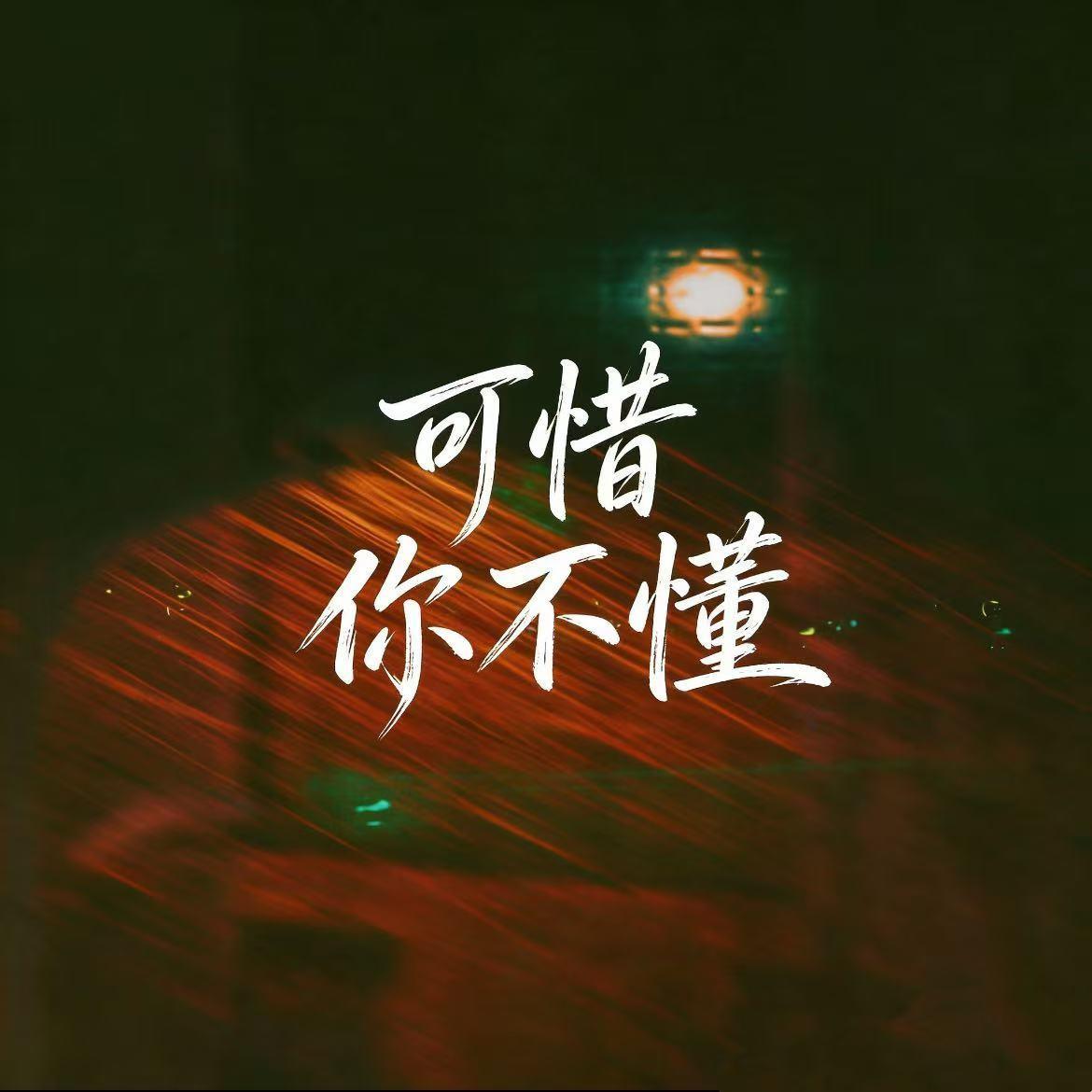 可惜你不懂（抖音热播版）