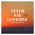 NEVER SAY GOODBYE