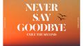 NEVER SAY GOODBYE专辑