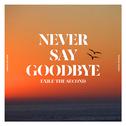 NEVER SAY GOODBYE专辑