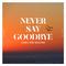 NEVER SAY GOODBYE专辑