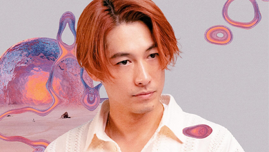 DEAN FUJIOKA