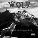 Wolf专辑