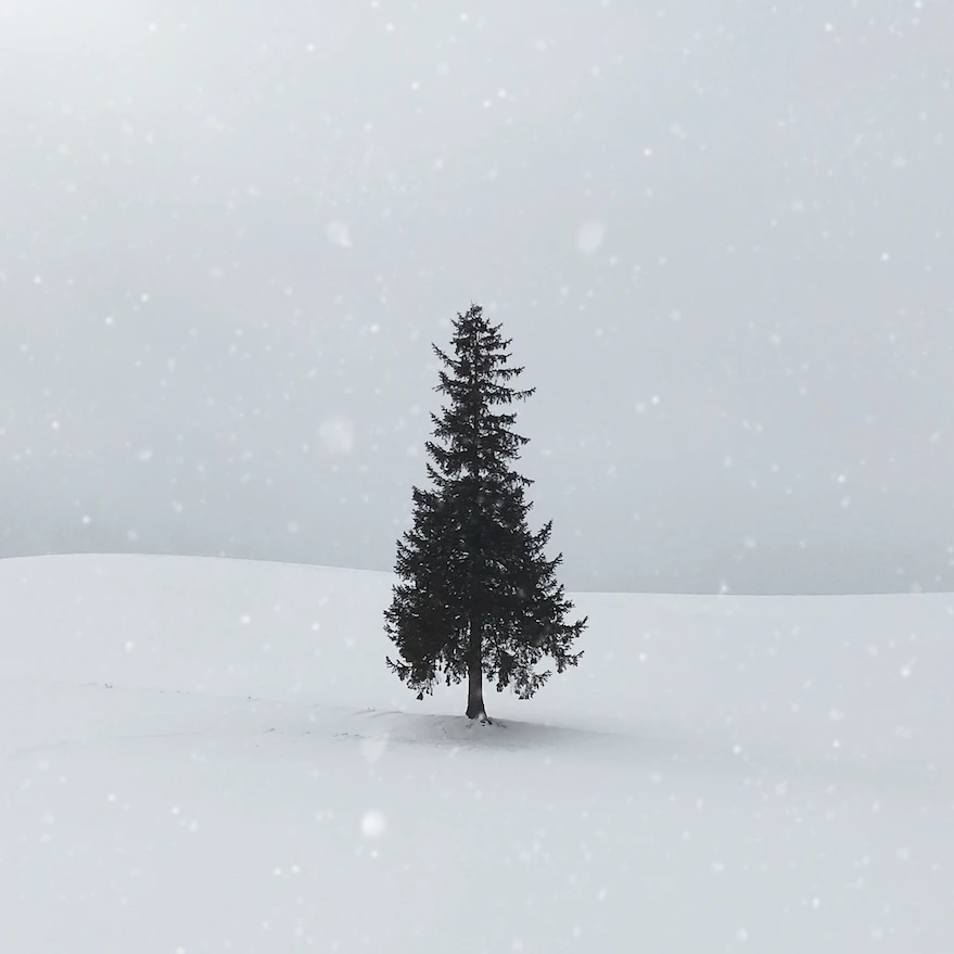 Snowflake