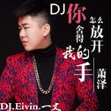 萧泽-你怎么舍得放开我的手 DJ.Eivin一文 2K17_Mix