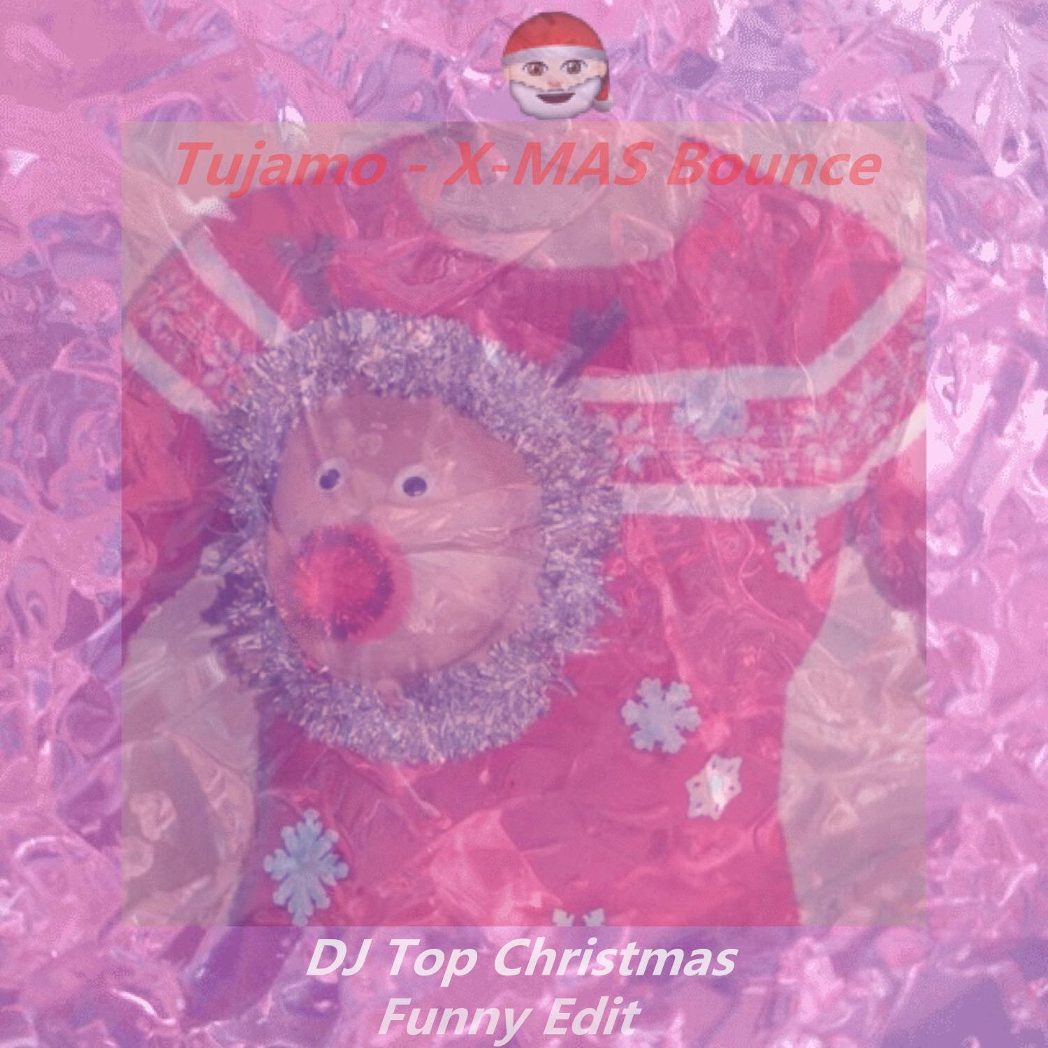 DJ Top Christmas Funny Edit专辑