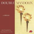 Double Mandolin