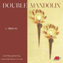 Double Mandolin专辑