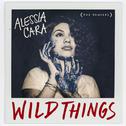 Wild Things (The Remixes)专辑