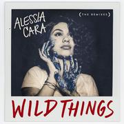 Wild Things (The Remixes)