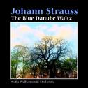 Strauss: The Blue Danube Waltz专辑
