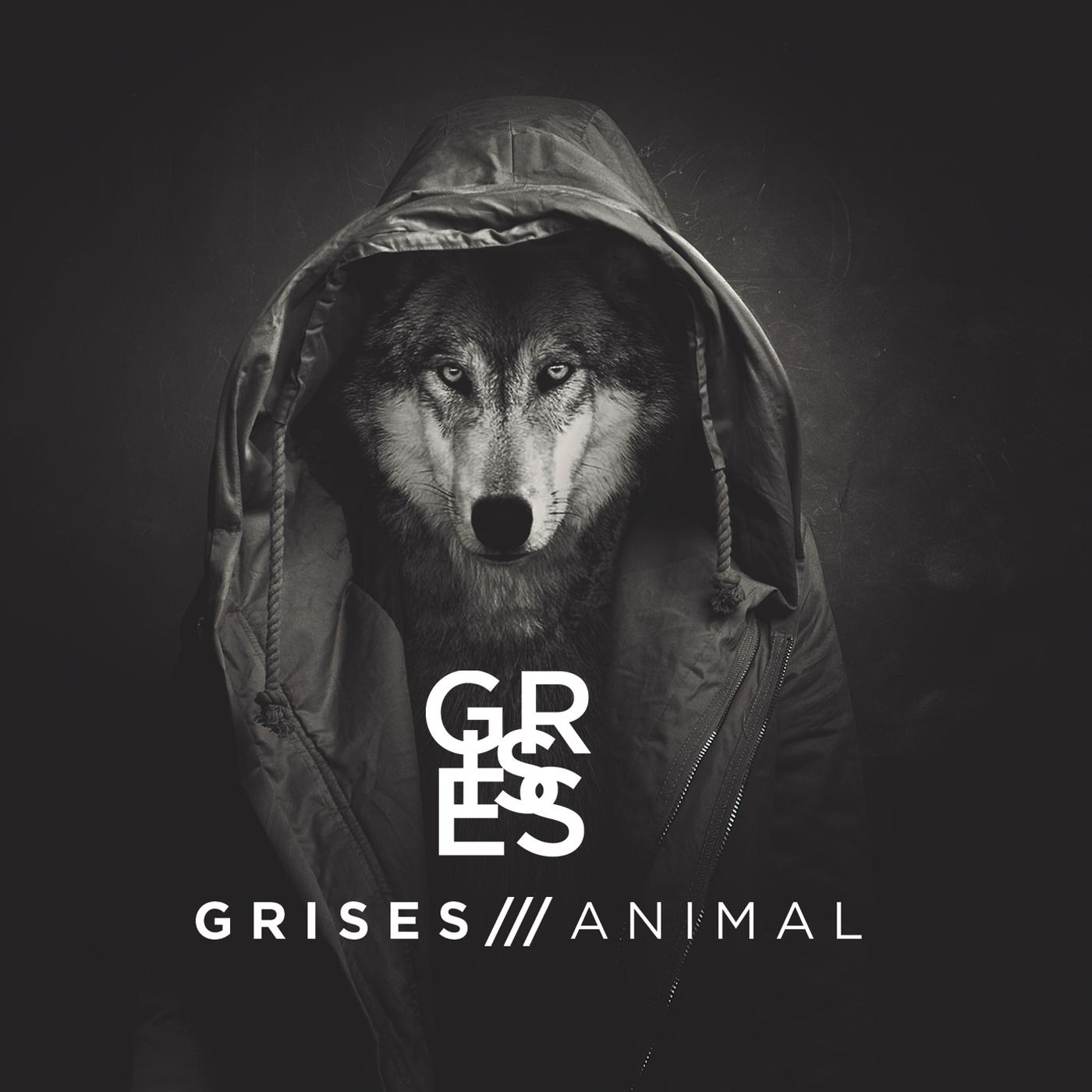 Animal