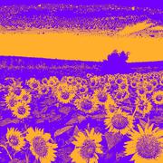 Ｕｎｄｅｒ Ｔｈｅ Ｓｕｎｌｉｇｈｔ