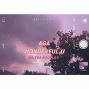 AGA - Wonderful U（NO.788 Bootleg)