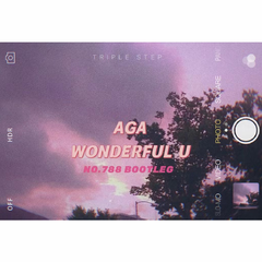 AGA - Wonderful U（NO.788 Bootleg)