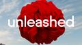 Unleashed