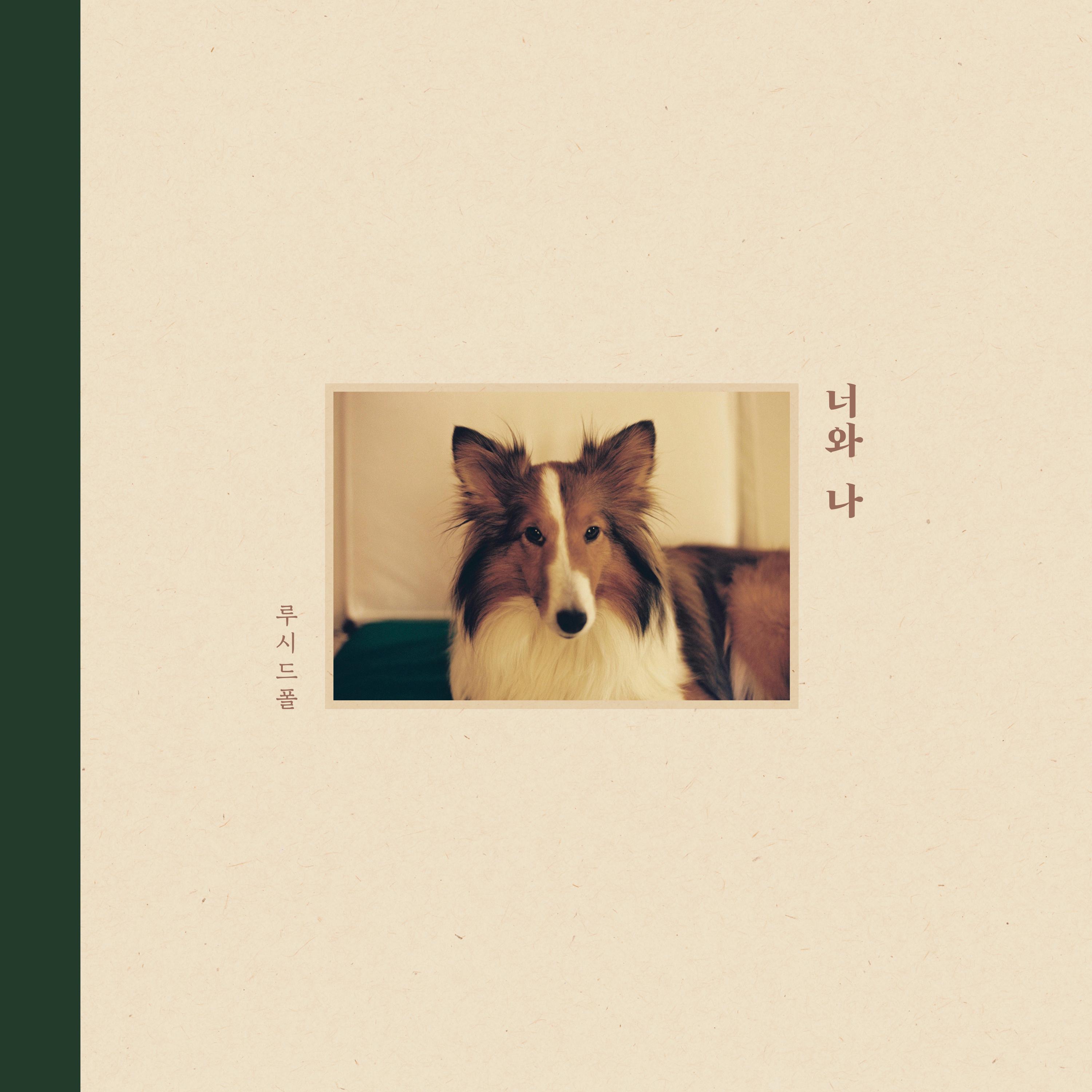 너와 나