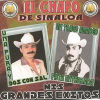 El Chapo De Sinaloa - Ladrona (karaoke)