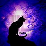 Felis专辑