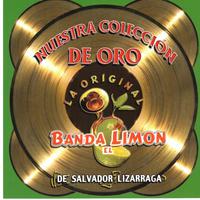 Si Por Casualidad - La Original Banda El Limón   Limon ( Karaoke )