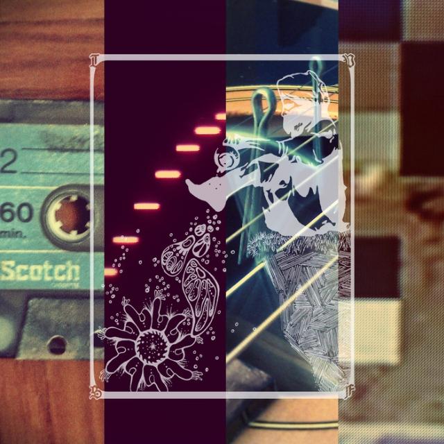 Year II: a Dogma
