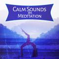 Calm Sounds for Meditation – Soft New Age to Meditate, Inner Silence, Peaceful Sounds