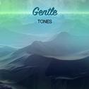 #20 Gentle Tones for Meditation and Sleep专辑