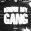 WTM Solid - Know My Gang