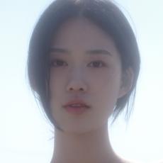 Van Siian梵西安