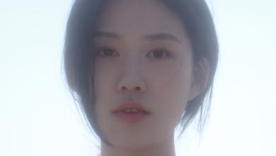 Van Siian梵西安