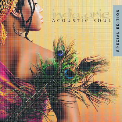 Acoustic Soul - Special Edition专辑