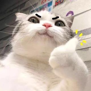 做作业时听的歌(暖暖)
