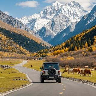 开车旅行 ｜生活不止眼前的苟且，还有远方