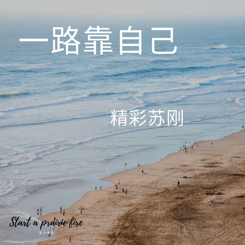 精彩苏刚歌曲封面