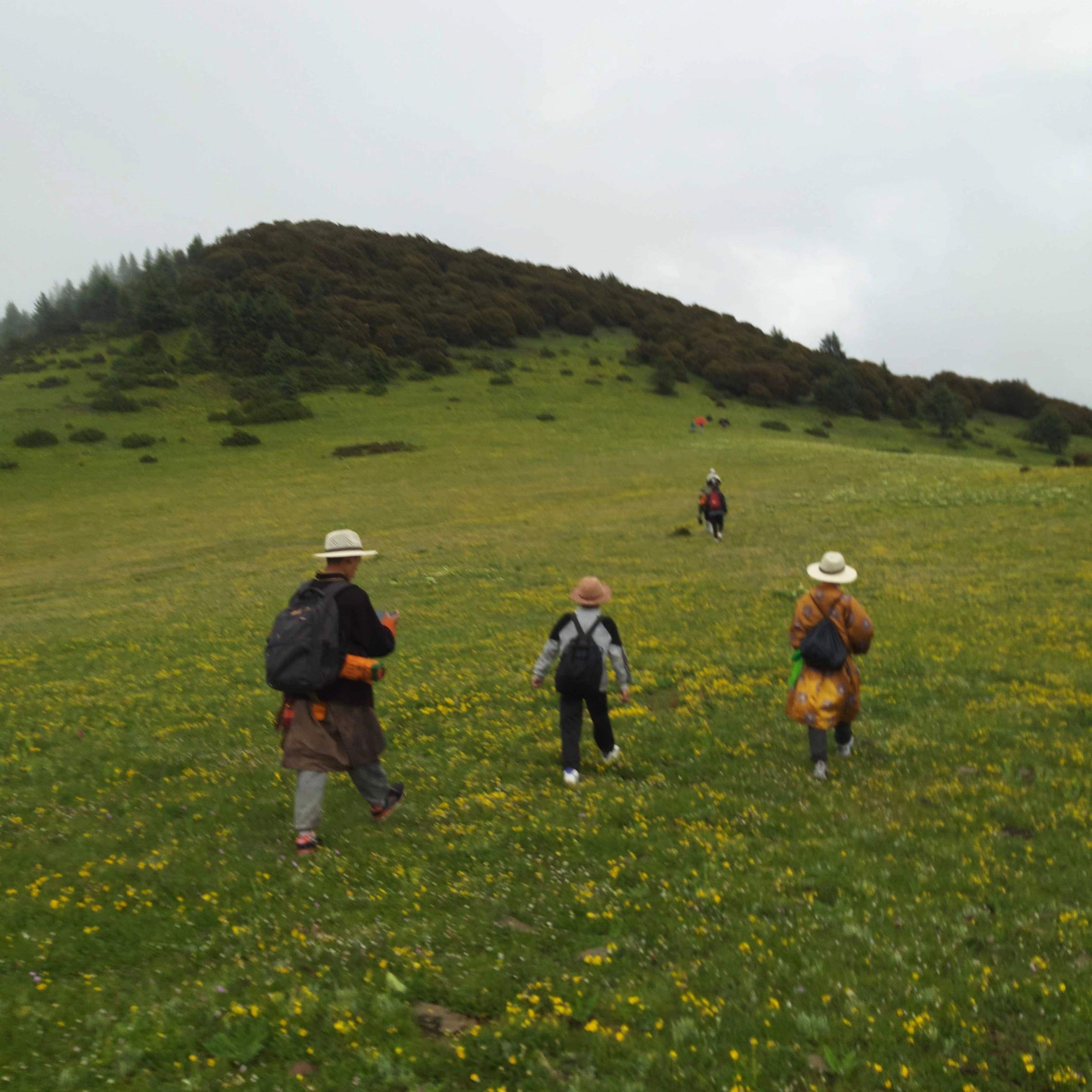 Hollywood's Bleeding