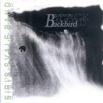 Blackbird
