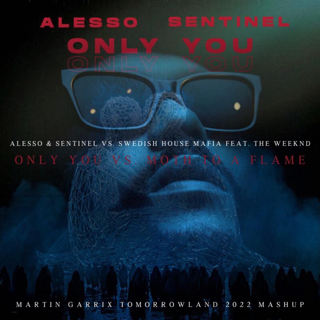 Only You vs Moth To A Flame (Martin Garrix Mashup)