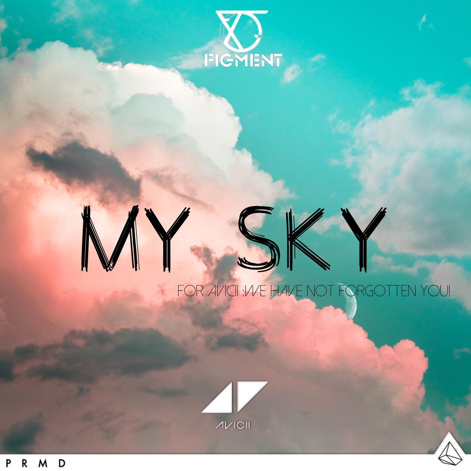 The Sky Is For Avicii