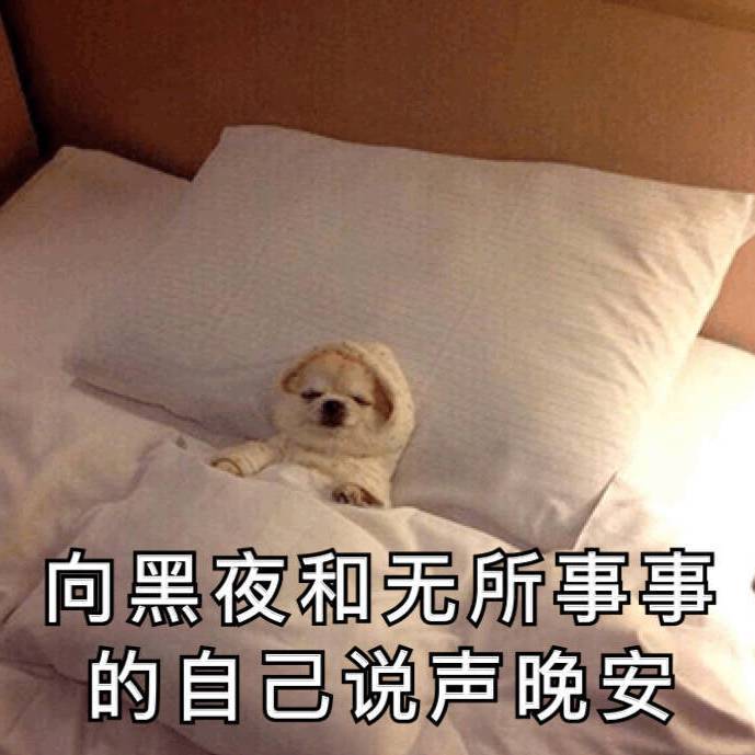 心如止水专辑