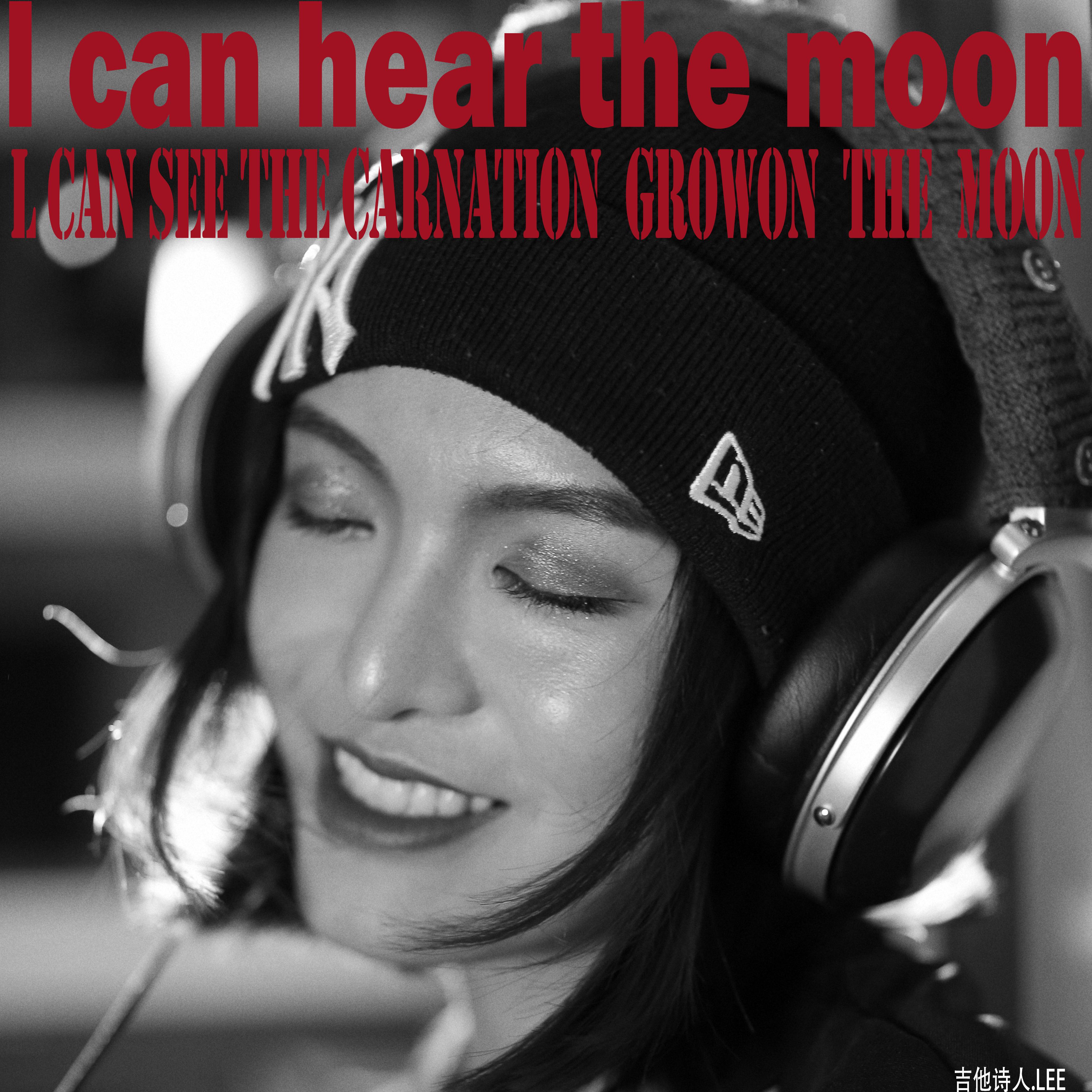 I can see the carnation grow on the moon 月亮上的康乃馨专辑