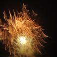 Firework-绯光