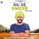 Dil De Ameer专辑