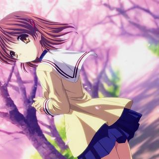 好听不火系列 (遗憾是常有的事情吧)