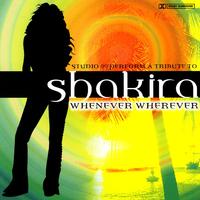 Shakira - Whenever, Wherever (Robin Roij Remix) (Dirty) 108