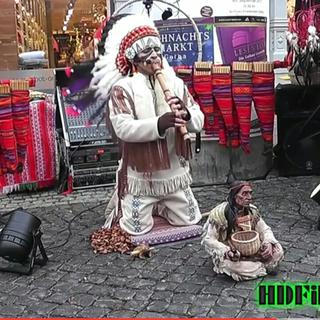 最后的莫西干人(印第安人)