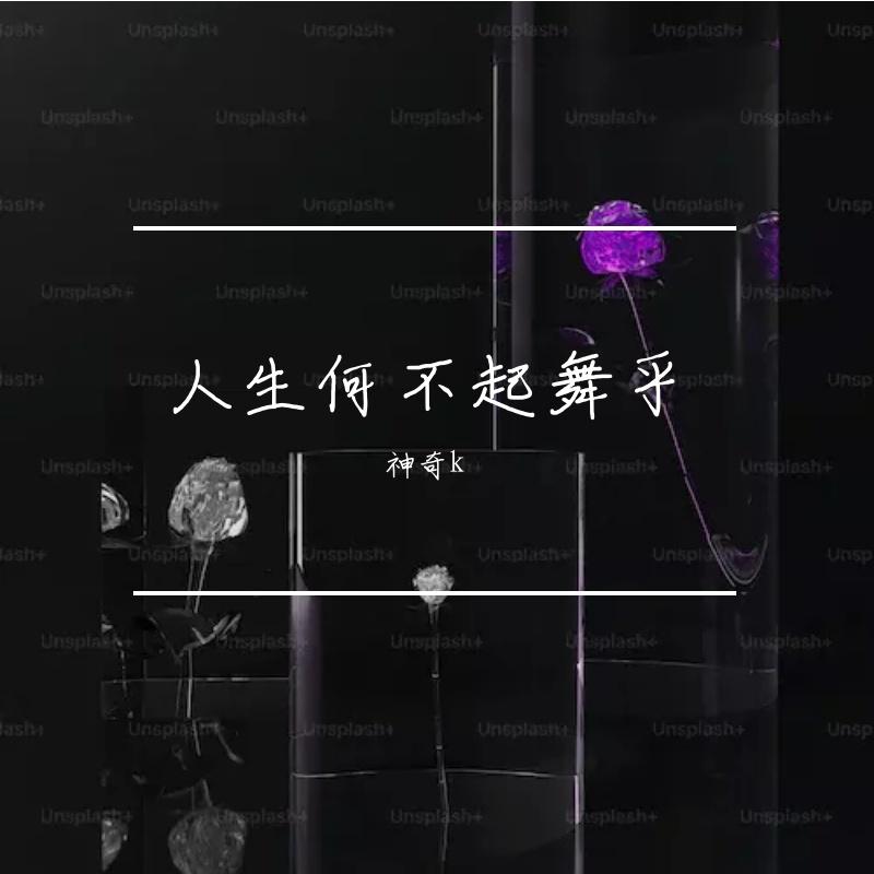 人生何不起舞乎